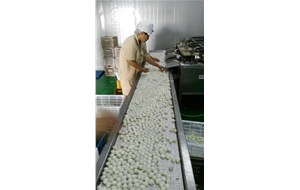 我公司鵪鶉蛋生產線螺旋煮蛋機獲得證書