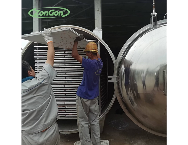 果蔬凍干設(shè)備